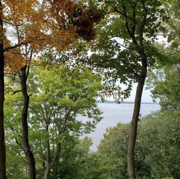 Meet your Posher, Ellen - Picture 1 of 2